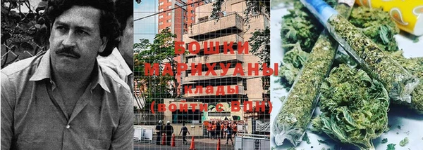 трава Алзамай