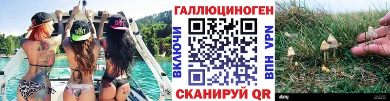 Купить  Берёзовка  Галлюциногенные грибы мицелий 