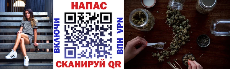 Купить  Берёзовка  Конопля гибрид 